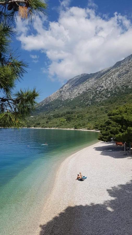 Apartmants Villa Lungo Mare Živogošće Extérieur photo